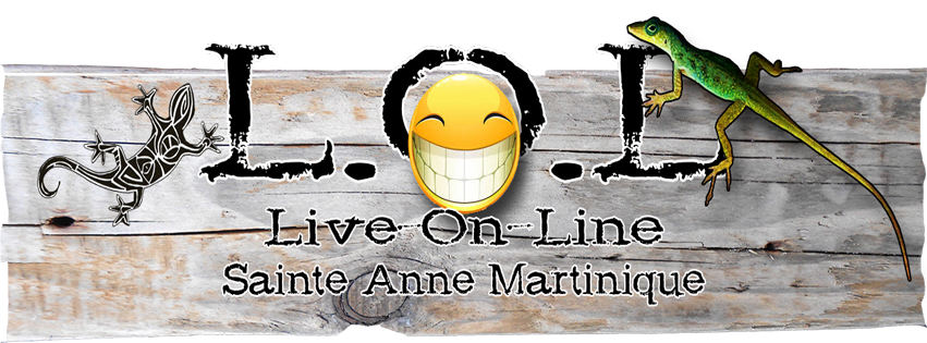 Logo L.O.L. Live On-Line, Sainte Anne Martinique. Première Web TV des Antilles diffusant son contenu EN DIRECT (2016), design ambiance bois et lézard.